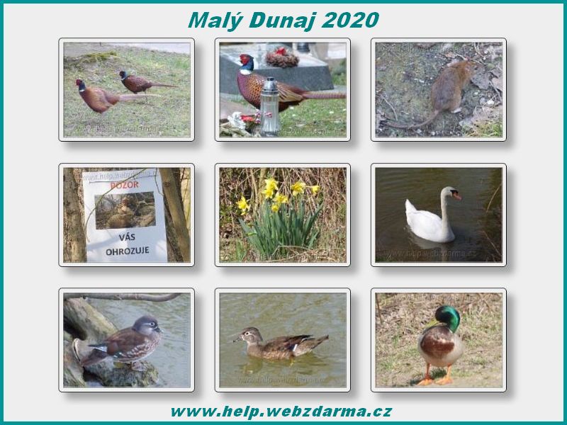 Maly Dunaj